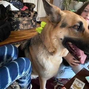 Meet your Posher, Connie